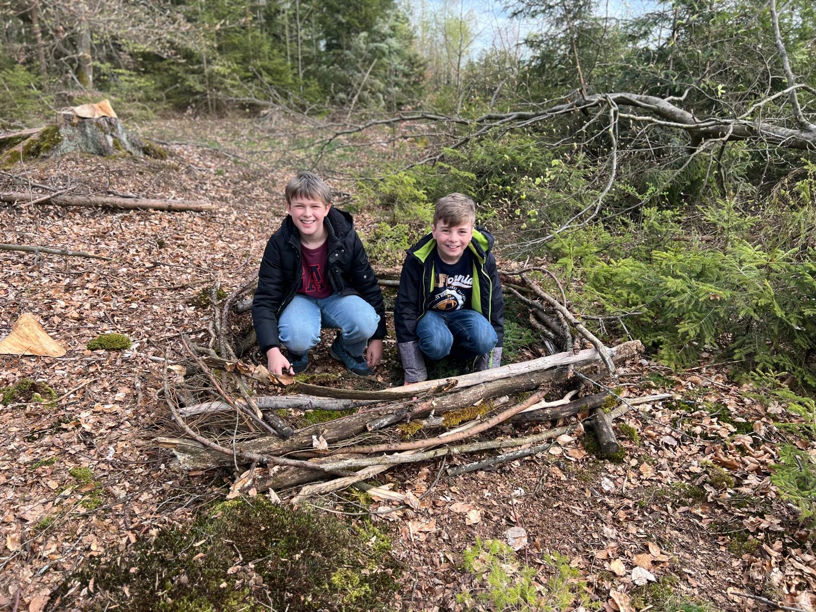 Nest bauen 2